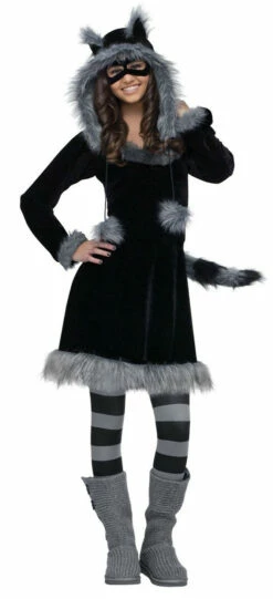 Sweet Raccoon Girl Teen Costume