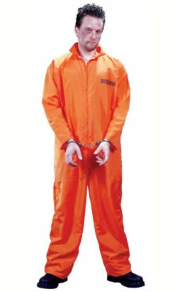 Got Busted! Prisoner Adult Costume