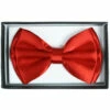 Red Bow Tie -Disney Sales media 25539.1599251329