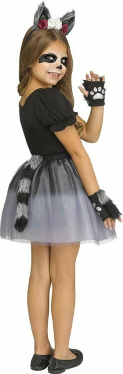 Girls Raccoon Costume - 1 Size