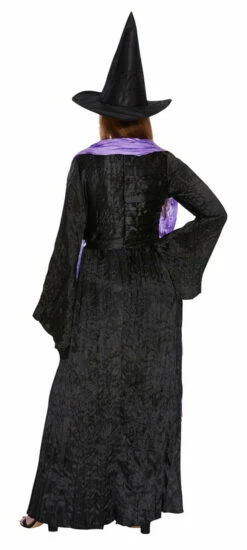 Wicked Witch Women Black Premium Costume -Disney Sales media 59092.1632518569