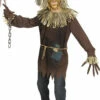 Wizard Of Oz Scar-crow Kids Costume