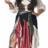 Renaissance Gypsy Pirate Women Plus Costume -Disney Sales media 72044.1653684579