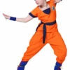 Dragon Ball Kids Costume -Disney Sales media 82777.1682100820
