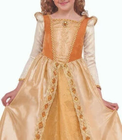 Regal Shimmer Princess Girl Costume -Disney Sales media 86944.1627490619