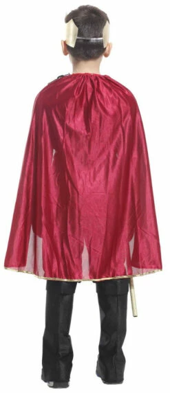 Knight King Kid Costume -Disney Sales media 95091.1623862801