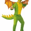 Dragon Boy Costume -Disney Sales r700926z 91350.1592310852