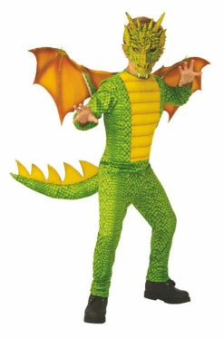 Dragon Boy Costume