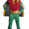Batman Robin Muscle Deluxe Costume -Disney Sales robin 53029.1639589224