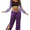 Aladdin Arabian Princess Woman Costume