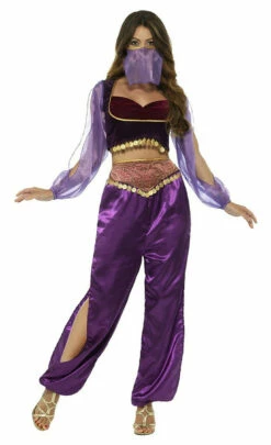 Aladdin Arabian Princess Woman Costume