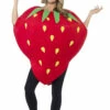 Strawberry Woman Costume -Disney Sales s43406z 56260.1592310203