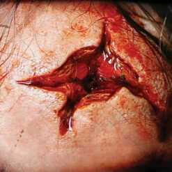 3D F/X Transfers Point Blank - Medium