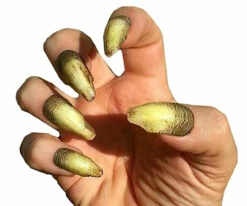 Warlock Creepy Claws